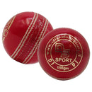 Ds D1 Alum Leather Cricket Ball DS Sports