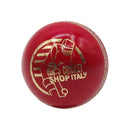 Ds D1 Alum Leather Cricket Ball DS Sports