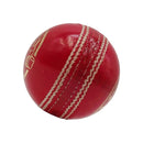 Ds D1 Alum Leather Cricket Ball DS Sports