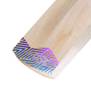 Dsc RS Exclusiv Kashmir Willow Cricket Bat DSC
