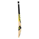 Dsc Condor Motion English Willow Cricket Bat DSC