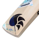 Dsc Condor Motion English Willow Cricket Bat 2025 DSC