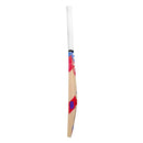 Dsc Intense Pro Middler Practice Cricket Bat DSC
