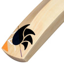 Dsc Krunch 9.0 English Willow Cricket Bat DSC