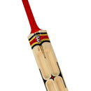 F Plus TM Edition Scoop MRI Hard Tennis Bat F Plus