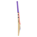Gray Nicolls GEM 2.1 300 Cricket Bat Gray Nicolls