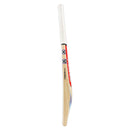 Gray Nicolls GEM 2.1 Power Cricket Bat Gray Nicolls