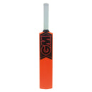 GM Opener Moulded Cricket Bat Gunn and Moore