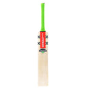 Gray Nicolls Ventus Gen 1.3 5 Star Cricket Bat Gray Nicolls
