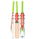Gray Nicolls Havoc 1.3 Thunder Kashmir willow Cricket Bat Gray Nicolls