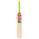 Gray Nicolls Havoc 1.3 Thunder Kashmir willow Cricket Bat Gray Nicolls