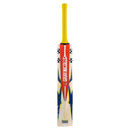 Gray Nicolls Havoc HB317 GN550 Cricket Bat Gray Nicolls