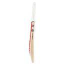Gray Nicolls Neocore 500 Cricket Bat Gray Nicolls