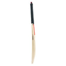 Gray Nicolls Scoop 50 Players Edition Cricket Bat - Cricket shop italy