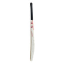 Gray Nicolls Scoop 5 Star Kashmiri Willow Bat Gray Nicolls
