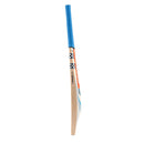 Gray Nicolls Tempesta Gen 1.1 300 Cricket Bat Gray Nicolls