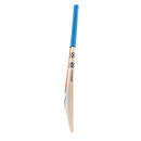 Gray Nicolls Tempesta Gen 1.1 300 Cricket Bat Gray Nicolls