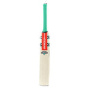 Gray Nicolls VENTUS 1.0 WARRIOR Kashmir Willow Cricket Bat Gray Nicolls