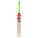 Gray Nicolls Ventus 1.3 300 Cricket Bat - Cricket shop italy