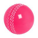 Gray Nicolls Velocity Cricket Ball Gray Nicolls