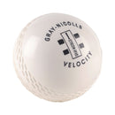Gray Nicolls Velocity Cricket Ball Gray Nicolls