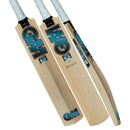Gunn & Moore Diamond 101  Kashmir Willow Bat - Cricket shop italy