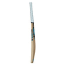 Gunn & Moore Diamond 202 Kashmir Willow Bat - Cricket shop italy