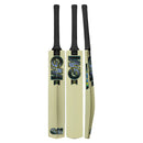Gunn and Moore Aion Kashmir Willow Bat - Cricket shop italy