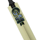 Gunn and Moore Aion Kashmir Willow Bat - Cricket shop italy