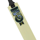 Gunn and Moore Aion Kashmir Willow Bat - Cricket shop italy