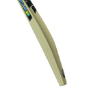 Gunn and Moore Aion Kashmir Willow Bat - Cricket shop italy