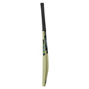 Gunn and Moore Aion Kashmir Willow Bat - Cricket shop italy