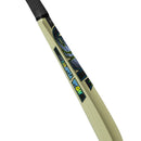 Gunn and Moore Aion Kashmir Willow Bat - Cricket shop italy