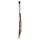 HS 41 Player Edition Cricket Bat HS