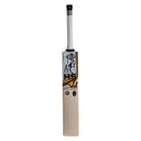 HS 41 Player Edition Cricket Bat HS