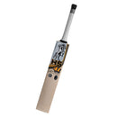 HS 41 Player Edition Cricket Bat HS