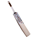 HS 5 star Camo edition English Willow Cricket Bat HS