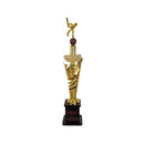 Iconic Cricket Trophy DS Sports