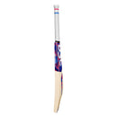 Dsc Intense Ferocity English Willow Cricket Bat