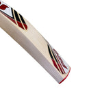 Protos Internatus English Willow Cricket Bat - Cricket shop italy