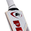 Protos Internatus English Willow Cricket Bat - Cricket shop italy