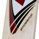 Protos Internatus English Willow Cricket Bat - Cricket shop italy