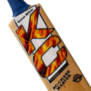 KC Chase Master Scoop Kashmir Willow Bat Cricket shop italy