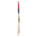 Kookaburra Beast 5.1 Cricket Bat - Cricket shop italy