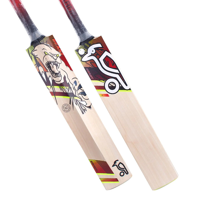 Kookaburra Beast 5.1 Cricket Bat - Cricket shop italy