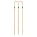 Kookaburra Pro Stumps Senior - Cricket shop italy