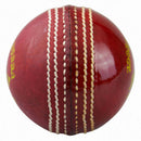 Kookaburra Super Coach Swinger ball Kookaburra