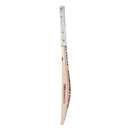 New Balance TC 1260 Cricket Bat - Cricket shop italy