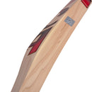 CA Pro 15000 Performance Edition English Willow Cricket Bat CA