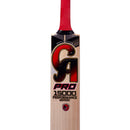 CA Pro 15000 Performance Edition English Willow Cricket Bat CA